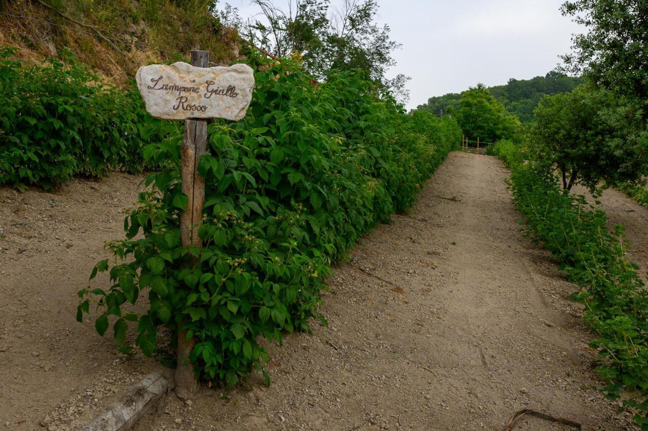 Agriturismo Le Fontane - Lago Di Bolsena Villa Grotte di Castro Eksteriør billede