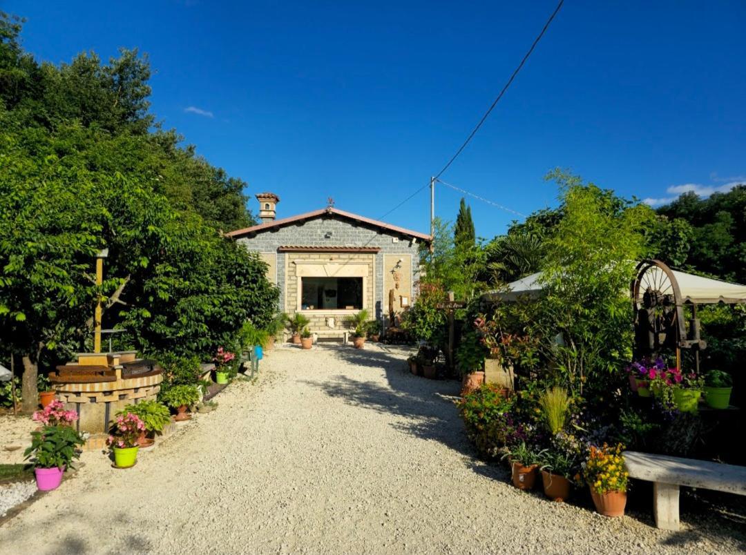 Agriturismo Le Fontane - Lago Di Bolsena Villa Grotte di Castro Eksteriør billede