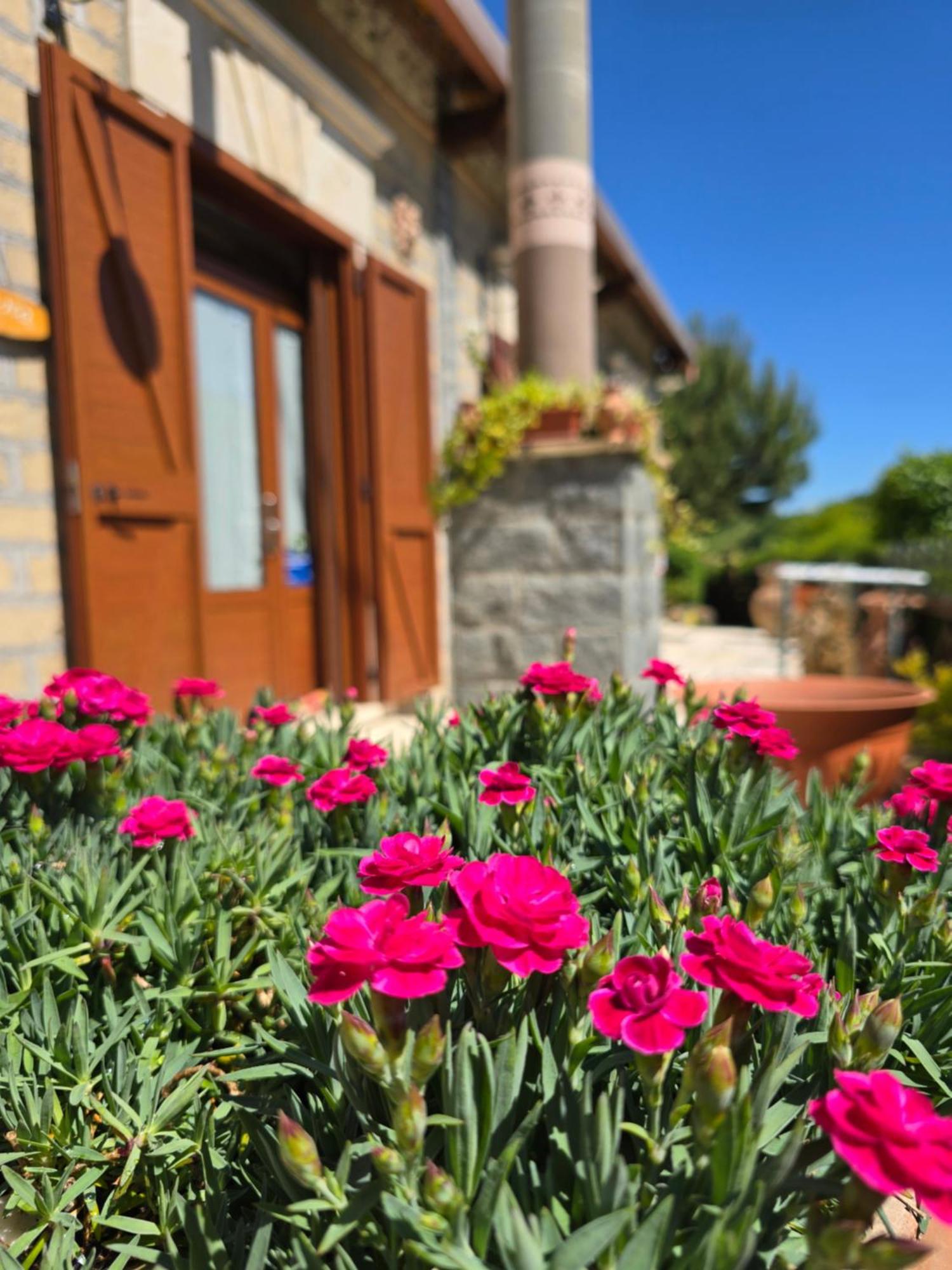 Agriturismo Le Fontane - Lago Di Bolsena Villa Grotte di Castro Eksteriør billede