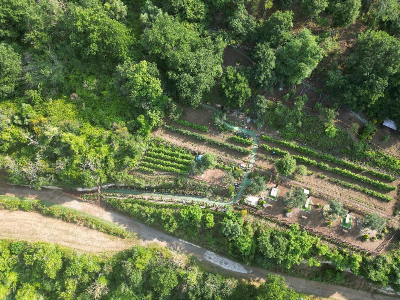 Agriturismo Le Fontane - Lago Di Bolsena Villa Grotte di Castro Eksteriør billede