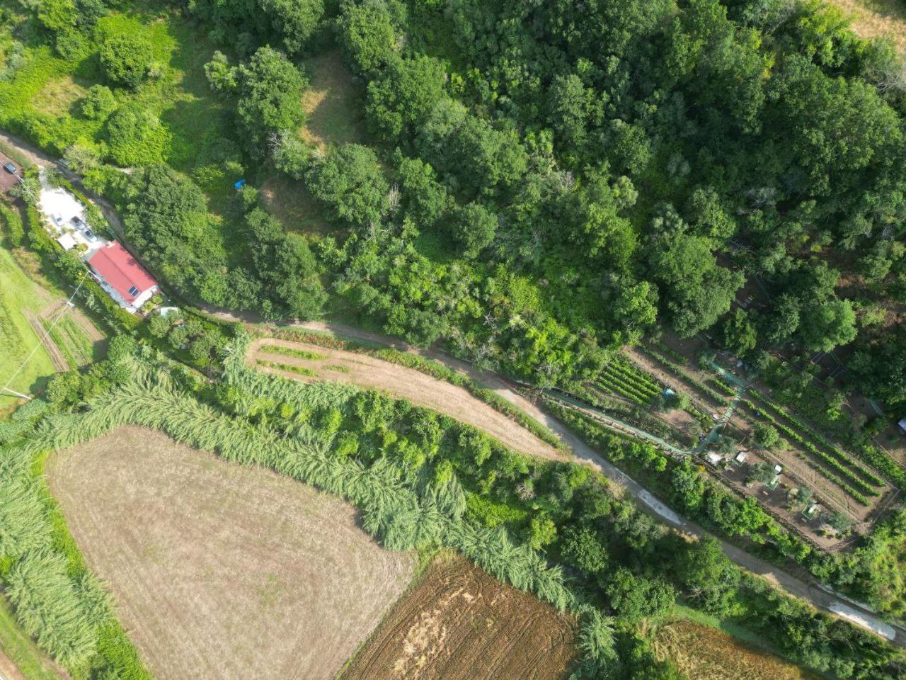 Agriturismo Le Fontane - Lago Di Bolsena Villa Grotte di Castro Eksteriør billede